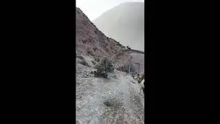 Outdoor Exploration Live | Quiet Wilderness Adventure