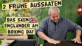 Das wird in England schon an Weihnachten ausgesät! Erste Aussaaten am Boxing Day