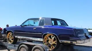 Veltboy314 - Candy Purple Cutlass On Gold 24