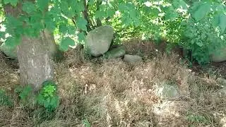 Ein Pestfriedhof - gibt es den heute noch?