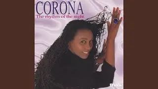 The Rhythm Of The Night