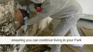 Park City Utah Mold Removal