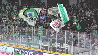 27.09.2022 / SC Bietigheim Steelers - Düsseldorfer EG (3:4 n.P,  Ege Trans Arena)