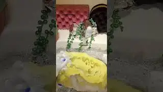 ​
