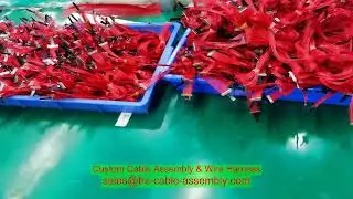 cable assembly length High Performance Automotive PVC Insulation Cable Assembly