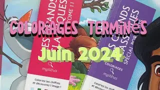 ✨Coloriages terminés Juin 2024 | #arttherapy