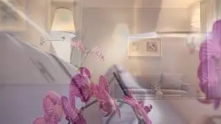 Hotel Ilio : The First and Only Boutique Hotel on Elba Island (Tuscany)