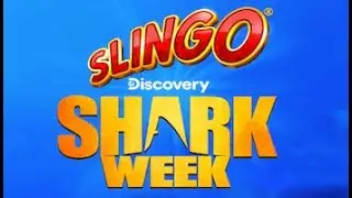 590x Slingo Shark Week (Slingo Originals) Huge Online Slot Win