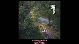 The Mantis Express - If It Ever Comes To You (Official Audio)