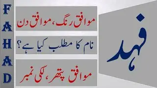 FAHAD Name Meaning | FAHAD Lucky day | FAHAD Lucky Stone | FAHAD Numerology
