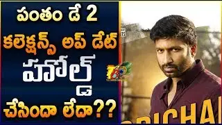 Pantham Telugu Movie 2nd Day Collections || Pantham 2nd Day Collections || Pantham Day 2 Collections
