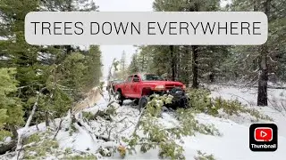 SNOW WHEELING AFTER A WINDSTORM