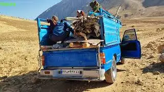 Nomadic life: Migrating to tropical areas due to the cold weather