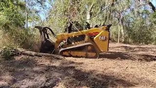 CAT mulcher clearing above and below