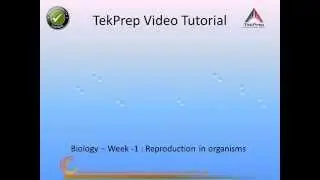 VidBioXII Wk01 2
