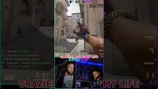 wildest 1 hp ace
