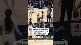 Nothing like the WNBA Playoffs