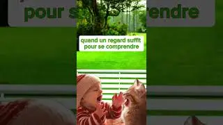 #chat #bebe #fourires