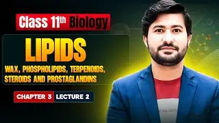 Lipids lec # 2  | Wax, Phospholipids, Terpenoids, Steroids and Prostaglandins | By irtisams biology