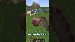 How To Get Armadillo Scutes!