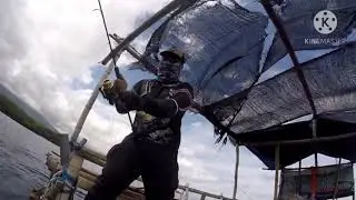 Daido Trisula vs Bluefin Trevally on light Jigging
