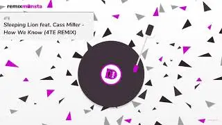 Sleeping Lion feat. Cass Miller - How We Know (4TE REMIX)