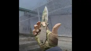 (CS2) Skeleton Boreal Forest Knife + Arboreal Hand Wrap Combo Showcase