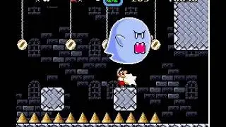 Vanish Castle 1.2 (VLDC11)