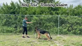 Ring Toss Training Session