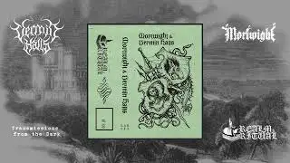 Mortwight / Vermin Halls - Mortwight & Vermin Halls Split (full split, 2024)