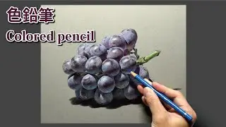 [色鉛筆画] 3時間10分で描くリアルなブドウのメイキング | 描き方 | Colored Pencil Drawing | -No.600
