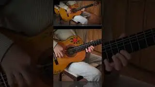 Tampa Gipsy Kings - flamenco guitar spanish fingerstyle #guitar #music #cover