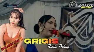 GRIGIS  - RINDY BOHAY ( Denata Music ) Live