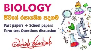 Biology Theory 2026 - Chemical basis questions discussion