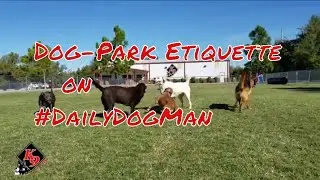 What is Proper Dog-park Etiquette