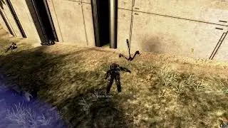 no!