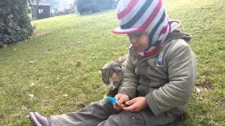 Mamall(7)