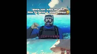 random anime funny moments