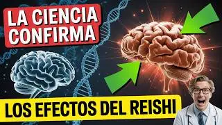 PROPIEDADES del HONGO REISHI GANODERMA LUCIDUM Beneficios Espectaculares