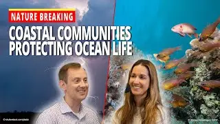 How Coastal Communities Are Protecting Ocean Life