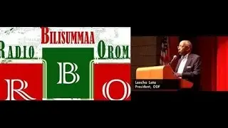 Radio Bilisummaa Oromo Interview with ODF Pres. Lencho Leta: December 31, 2014