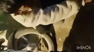 Horror short video 😐😐