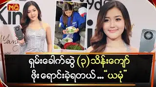 (၃) သိန်းကျော်ဖိုး 