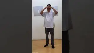 End the hard/external  soft/internal art/style Wing Chun or TCMA confusion once for all