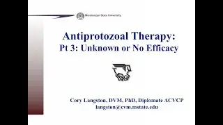 Antiprotozoals, Part 3: Diseases with Unknown or No Therapy