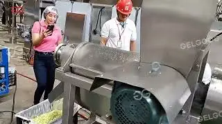 Apple Fruit Juice Processing Line