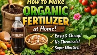 How to Make tea compost Using Farm Wastes /Liquid Organic Fertilizer /