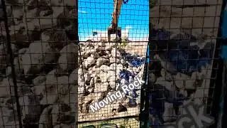Moving Rock with excavator #excavator #construction #viral#work#jay#rock #desert#california #shorts
