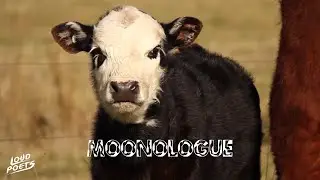 Bex Bidgood - Moonologue || Spoken Word Poetry ||