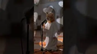 CAT CALL TO PRAYER #cat #animation #prayer #religion #funny #mosque